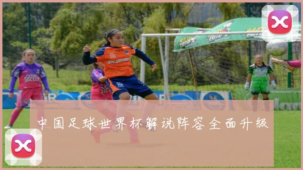中国足球世界杯解说阵容全面升级